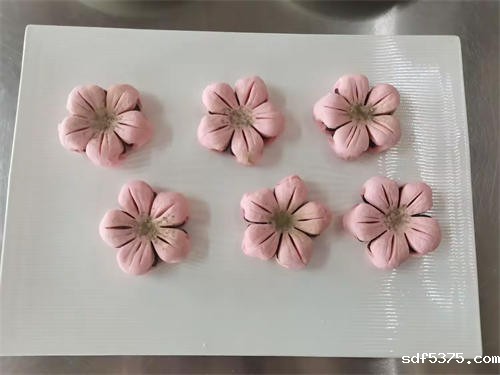 技能进阶路，考评促成长